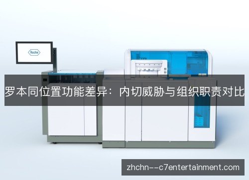 罗本同位置功能差异:内切威胁与组织职责对比 罗本同位置功能差异:内切威胁与组织职责对比